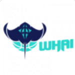 Mid-North Whai Women