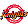 Seoul SK Knights