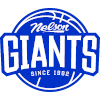 Nelson Giants