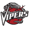 Rio Grande Valley Vipers