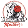 Maitland Mustangs