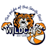 WIT Wildcats Women