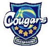 Hitachi Hitech Cougars Women's