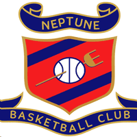 Bord Gais Neptune Co