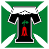 Temuco