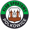 KS Polkowice