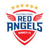 Hyundai Steel Red Angels (W)