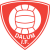 Dalum IF