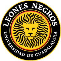 Leones Negros 2