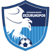 Erzurumspor