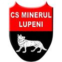 Minerul Lupeni