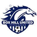 Box Hill Utd