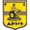 South Springvale SC