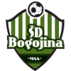 SD Bogojina