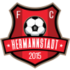 FC Hermannstadt