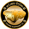 Young Elephants FC