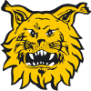 Ilves 2 F