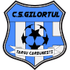 CS Gilortul Targu Carbunesti