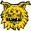 Ilves (W)