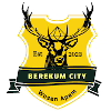 Berekum City