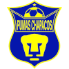 Pumas Chapacos