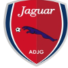 Jaguar PE U20