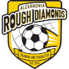 Alexandria Rough Diamonds