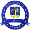 Brezovica