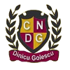 CN Dinicu Golescu U19